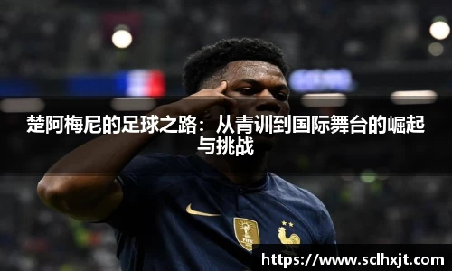 易游体育官方网站